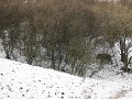 Polovnicke zdruzenie-Lipie   123